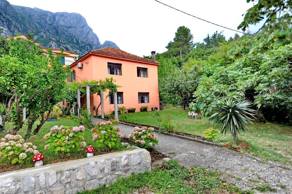 Apartments Vido Kotor Dış mekan fotoğraf