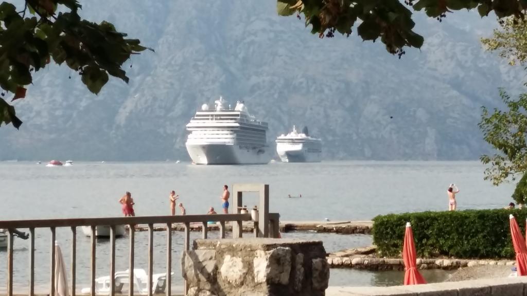 Apartments Vido Kotor Dış mekan fotoğraf