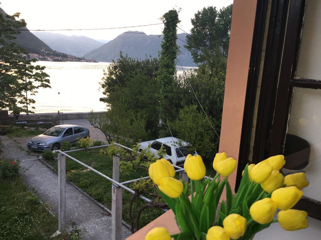 Apartments Vido Kotor Dış mekan fotoğraf