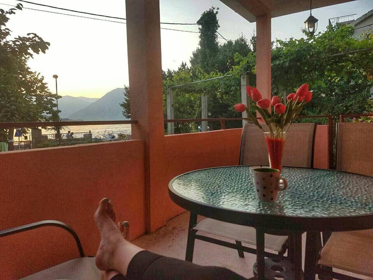 Apartments Vido Kotor Dış mekan fotoğraf