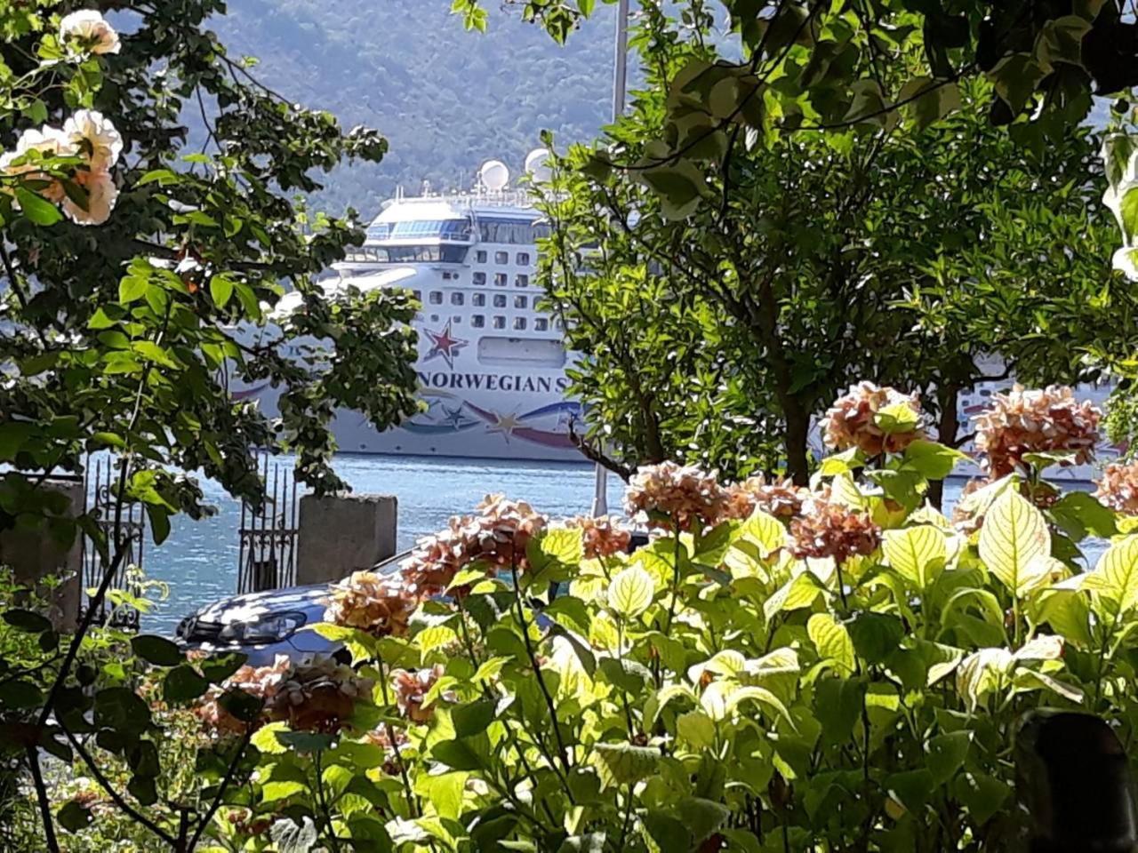 Apartments Vido Kotor Dış mekan fotoğraf